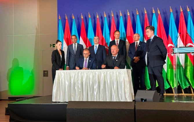 Азербайджан и Венгрия наладят обмен опытом в области фармацевтики