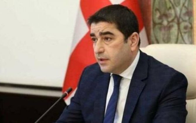 Папуашвили: Группа, поддерживаемая послом Германии, напала на штаб 