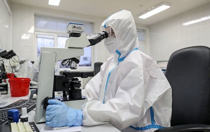 СМИ: Ученые обнаружили новый опасный вирус
