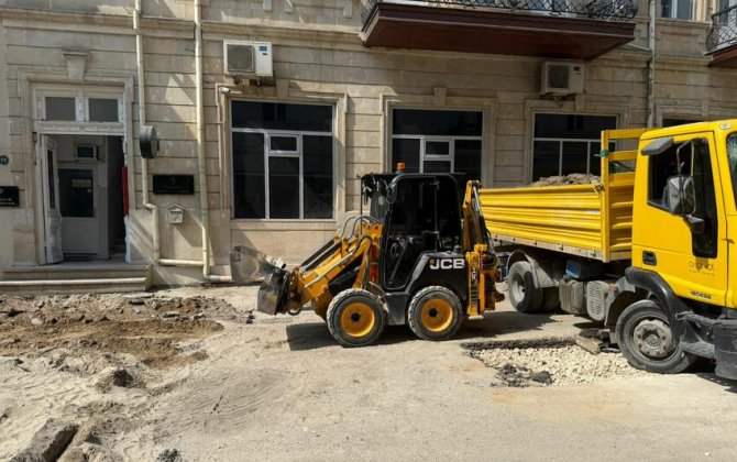 Bu küçədə yeni yaşıllıq əraziləri salınır - FOTO