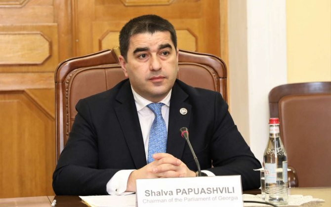 Спикер грузинского парламента вновь обвинил посла Германии в беспорядках