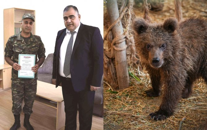 Erməni zabit Qırmızı Kitaba düşən ayı balasını xilas etdiyinə görə mükafatlandırıldı...-FOTO
