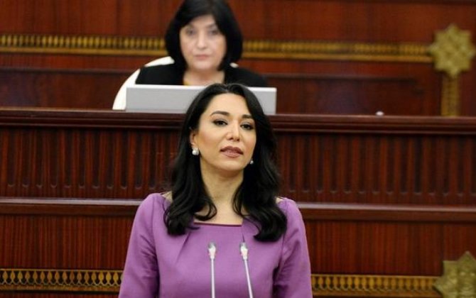 Ombudsmanın illik məruzəsinə komitə iclasında baxılmayacaq