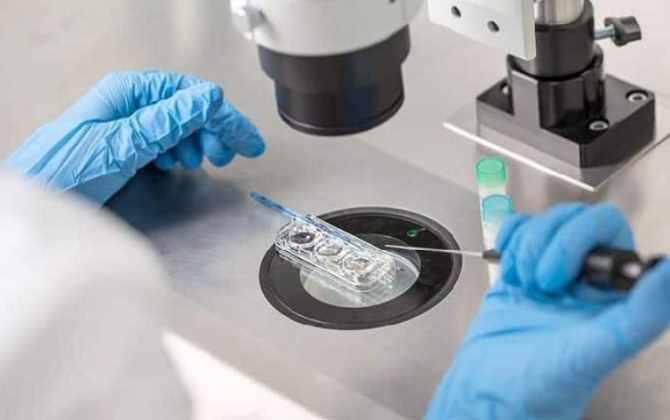 SOS: Genetik fəlakət qapıda – Süni mayalanmada gizlədilən faciələrxa0