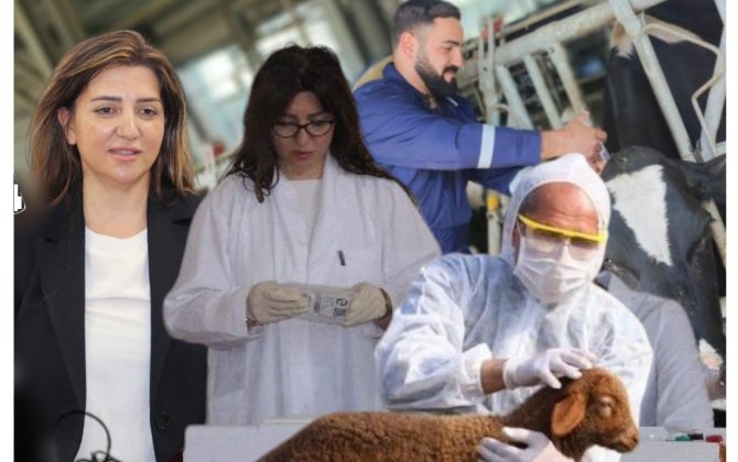 “Baytar çatışmazlığını aradan qaldırmaq üçün çalışırıq, əsas məqsədimiz budur ki...”- FOTO+ÖZƏL