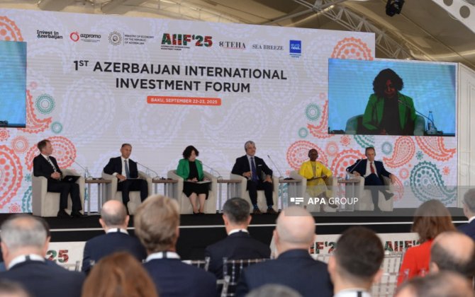 Rolande Pryce: Qara dəniz və Xəzər dənizi mühüm enerji dəhlizləridir