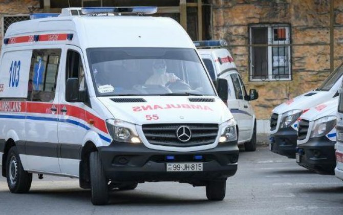 В Гахе мужчина погиб, упав с орехового дерева