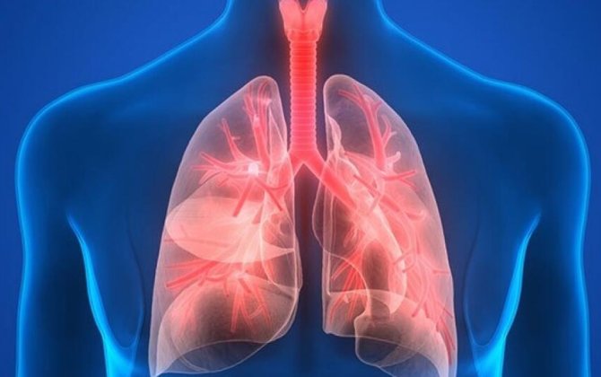 Azərbaycanda xəstələrin sayı artır, ölənlər nisbətən azdır, dünyada isə ciddi problem var -xa0AÇIQLAMA