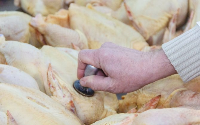 В Азербайджане мясо и птица будут продаваться только с ветеринарным клеймом