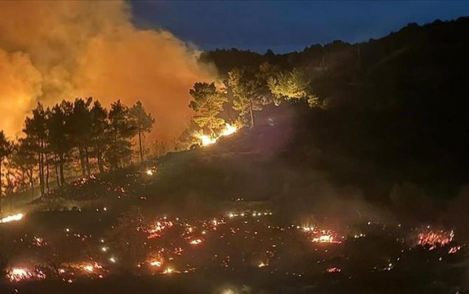 Türkiyədə daha bir bölgədə meşə yanır