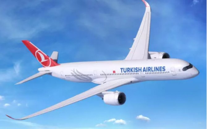 İstanbula uçan təyyarə Bakıda məcburi eniş etdi