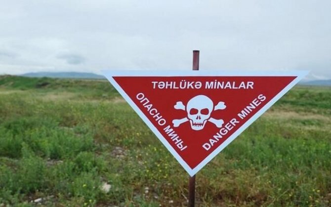 Azad edilmiş ərazilərdə daha 135 mina aşkarlandı