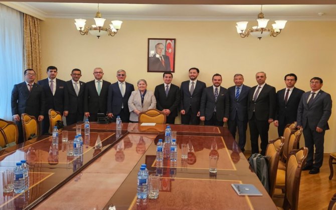 Hikmət Hacıyev TDT Baş katibinin müavinini qəbul edib