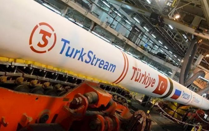 Эрдоган: «Турецкий поток» защитил страну от газового кризиса