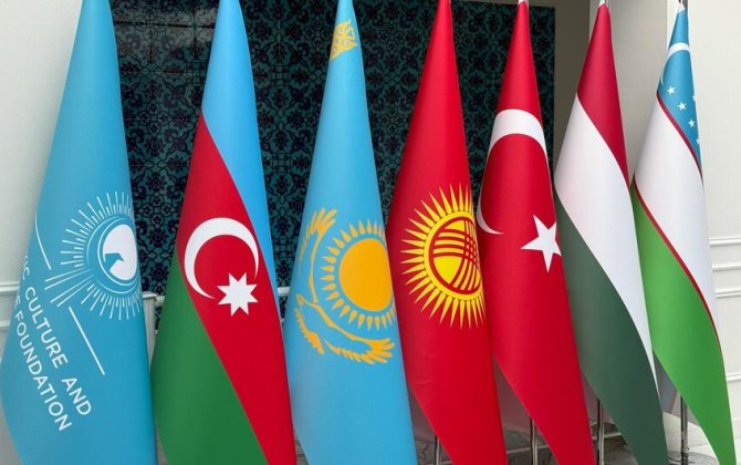 Hikmət Hacıyev TDT Dövlət Başçılarının 12-ci Zirvə görüşü ilə bağlı paylaşım etdi - VİDEO