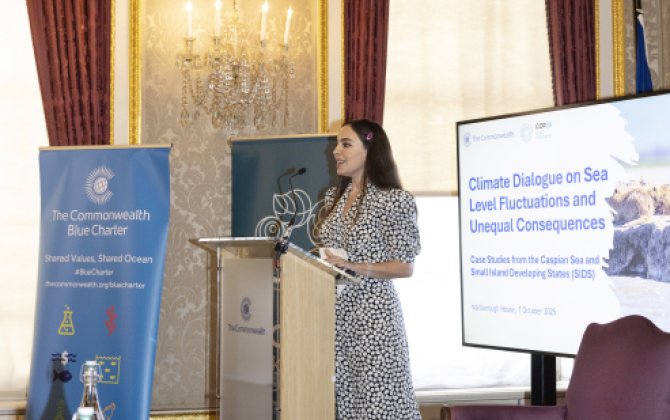Leyla Əliyeva Londonda yüksəksəviyyəli iqlim dialoqunda iştirak edib - FOTO