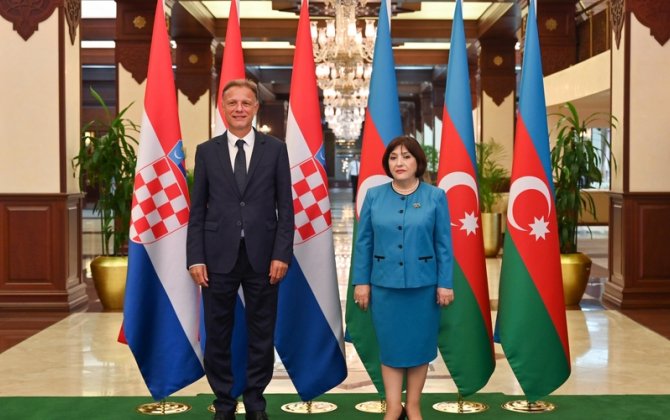 Milli Məclisin sədri xorvatiyalı həmkarı ilə görüşüb - FOTOLAR