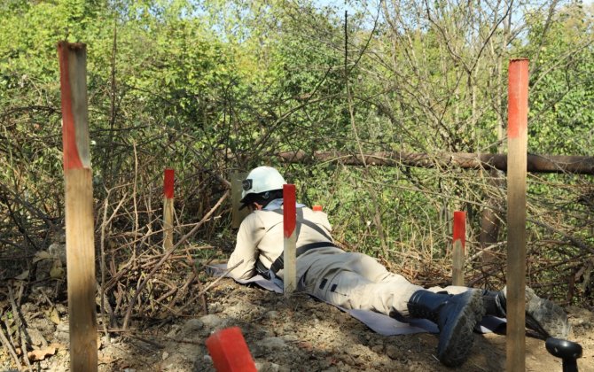 Xocavənddə idarəolunan qəlpələnən 