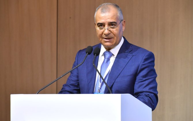 Bakıda itkin düşmüş şəxslərlə bağlı beynəlxalq konfrans keçirilib - FOTO