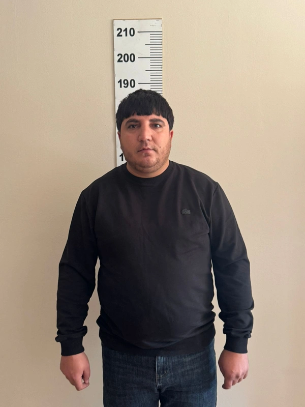 Naxçıvanda qanunsuz miqrasiya vədi ilə dələduzluq edən şəxs SAXLANILDI