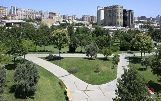 “Meşə park”da huşsuz halda tapılan kişi öldü