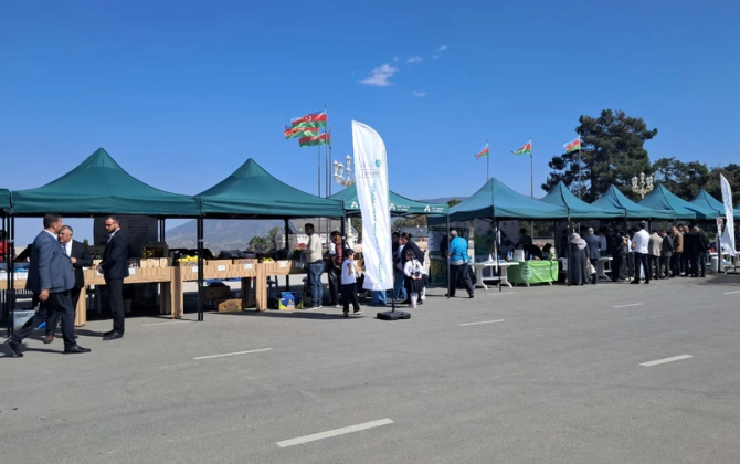 Xankəndidə Aqrar Biznes Festivalı və toxum sərgi-satış yarmarkası keçirilib