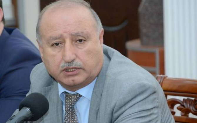 “Hələ dövlət xəzinəsinin tam formalaşmadığı bir durumda onun başçılığıyla Azərbaycan hökuməti böyük işlər gördü...”