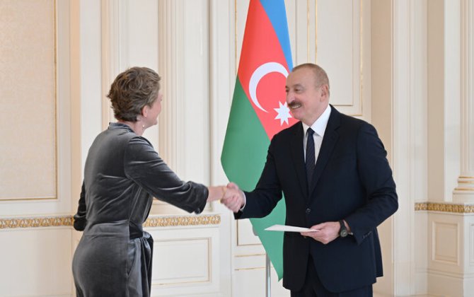 Prezident Niderlandın ölkəmizə yeni təyin olunmuş səfirini qəbul etdi - FOTO