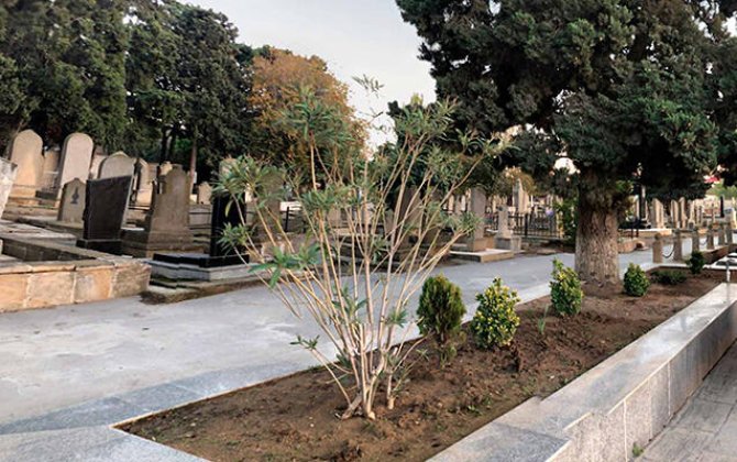 Azərbaycanda 2 nəfər qəbiristanlıqda öldü