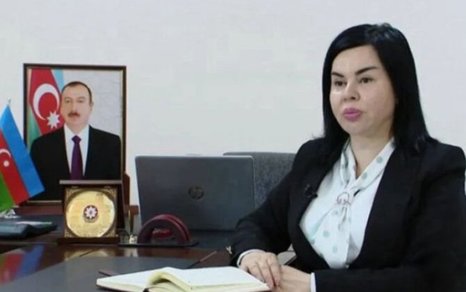 Naxçıvanda nazir müavini vəzifəsindən azad olundu