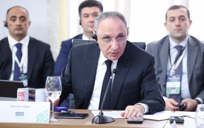 Kamran Əliyev Braziliyadakı tədbirdə iştirak etdi - FOTOLAR
