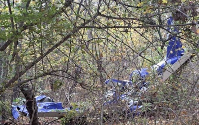 В Румынии разбился легкомоторный самолет, пилот погиб