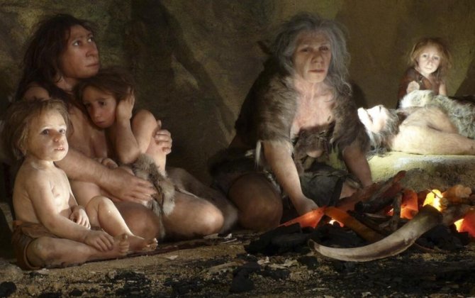 “Neandertallar niyə yox oldu?” sualına yeni cavab