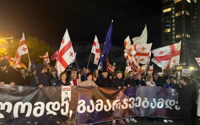 В Тбилиси проходит акция протеста против правительства