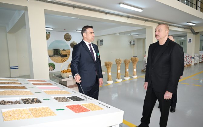 Prezident Sabirabad Sənaye Məhəlləsində toxum istehsalı müəssisəsinin fəaliyyəti ilə tanış olub - FOTO
