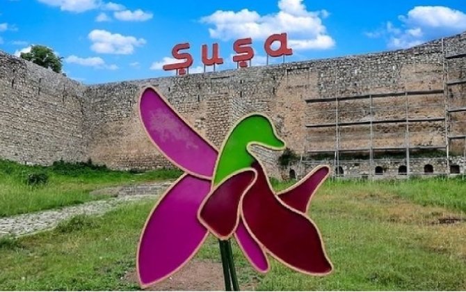 “Tariximizdə 8 Noyabrdan daha böyük, daha parlaq gün yoxdur”