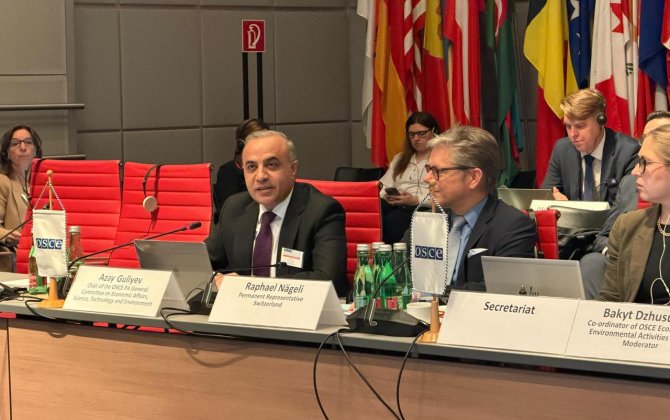 Azay Quliyev Vyanada çıxış edib - FOTO