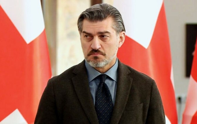 Президент Грузии поддержал запрет некоторых оппозиционных партий