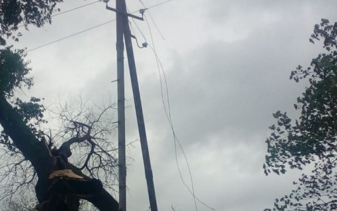 Goranboyda güclü külək bir sıra fəsadlar yaradıb