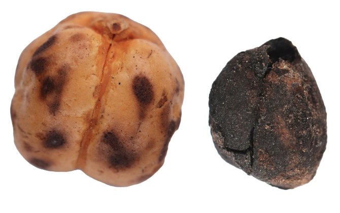 Qədimdən bu günə qədər gələn Türkiyə çörək irsi - FOTOLAR