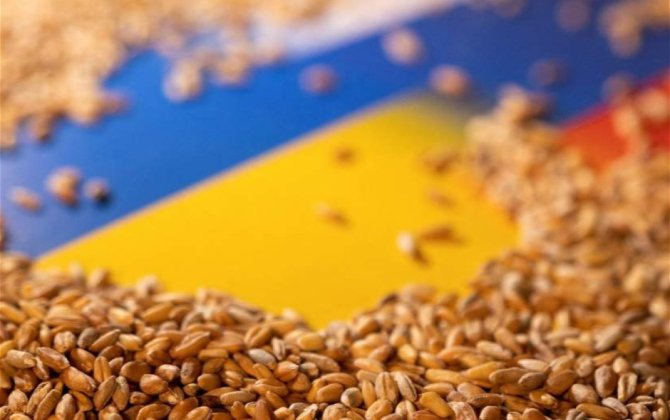 Польшу, Венгрию и Словакию могут наказать