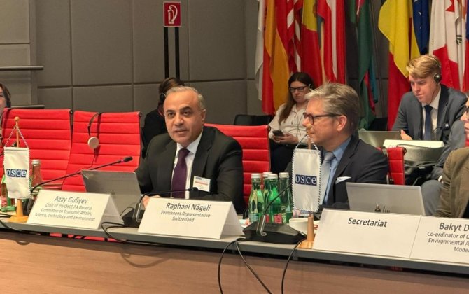 Xəzərdəki problem ATƏT PA-da müzakirəyə çıxarıldı