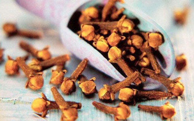 Hər gün mixək çubuğu çeynəsək, NƏ OLAR?