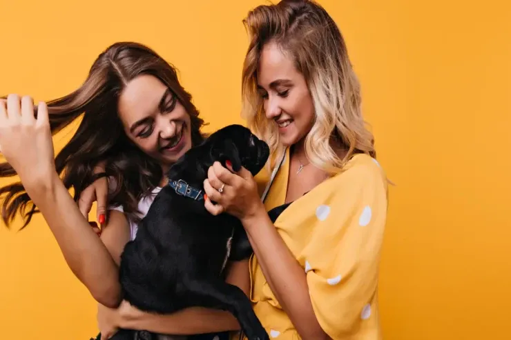 Bu həftə BÜRCLƏRİ nə gözləyir? – Şansınızı qaçırmayın