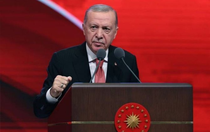 Эрдоган выступил за усиление поддержки ТРСК мусульманскими странами
