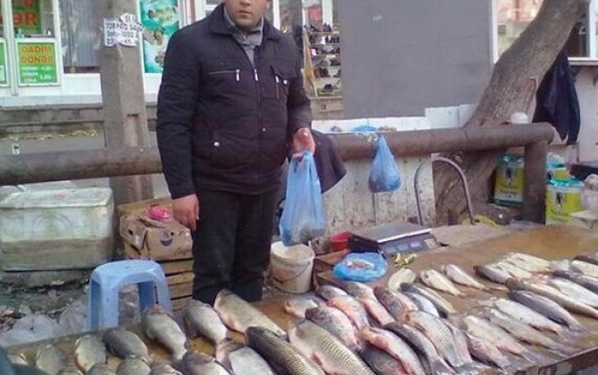 Центр рыболовства: В Азербайджане нет дефицита рыбы на рынках