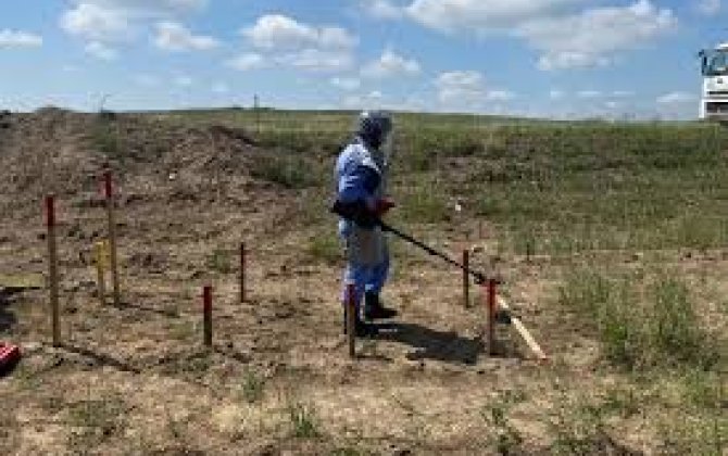 ANAMA: В октябре от мин очищена территория площадью более 7 тыс. га