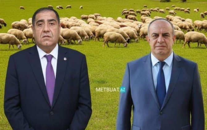 Həbs edilən icra başçıları şərik çıxdı