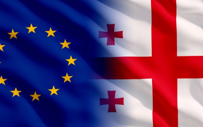 Gürcüstan XİN Arvopa Komissiyasının hesabatını qərəzli adlandırıb