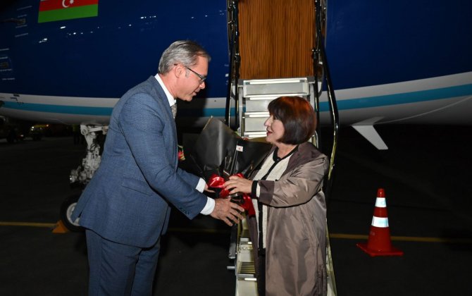 Milli Məclisin sədri Braziliyaya səfər edib